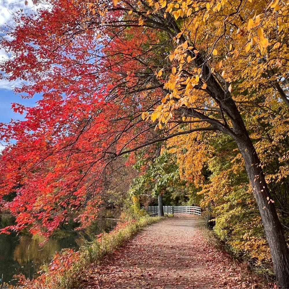 Litchfield, NH