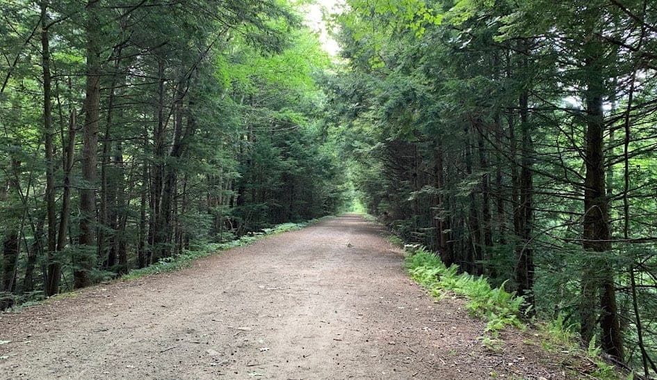 Rockingham Recreational Trail in Sandown, NH